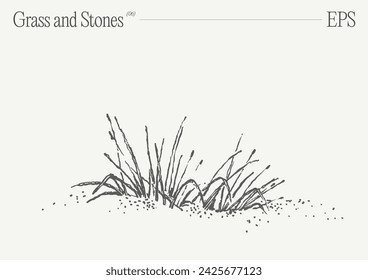 Hand drawn vector illustration of grass and rocks on blank backdrop. Isolated sketch.
