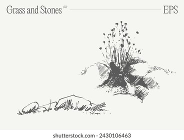Hand drawn vector illustration of grass and rocks on blank backdrop. Isolated sketch.