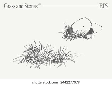 Handgezeichnete Vektor-Illustration von Gras und Felsen auf leerer Kulisse. Isolierte Skizze.