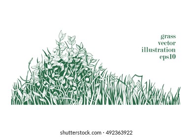 Hand drawn vector illustration of grass and twigs of plants.