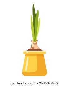 ilustração vetor desenhada à mão de bulbos de flor crescente com brotos em vaso amarelo com solo, Natureza ecologia vasos plantas, primavera, jardinagem, tema de filhote isolado no fundo branco