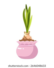 ilustração vetor desenhada à mão de bulbos de flor crescente com brotos no belo potenciômetro rosa com o solo, Natureza ecologia vasado plantas, jardinagem, primavera, tema de filhote isolado no fundo branco