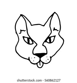 Hand drawn vector illustration. Head  cat. Sketch