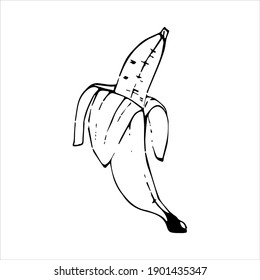 Hand drawn vector illustration. Healthy food. Healthy eating. Line art drawing style. Abstract template with banana for wallpaper design. Vector template.  Vector sketch illustration.