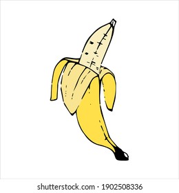 Ilustración vectorial dibujada a mano. Alimentos saludables. Comer sano. Estilo de dibujo de líneas. Plantilla abstracta con banana para el diseño de papel pintado. Plantilla de vectores.  Ilustración de esbozo del vector.