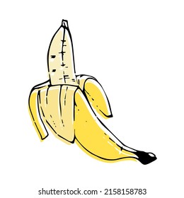 Ilustración vectorial dibujada a mano. Alimentos saludables. Comer sano. Estilo de dibujo de líneas. Plantilla abstracta con banana para el diseño de papel pintado. Plantilla de vectores.  Ilustración de esbozo del vector.
