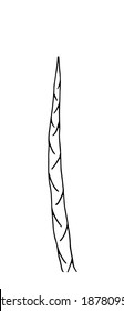 Ilustración vectorial dibujada a mano con hierba en forma de garganta dibujando aislado en fondo blanco (planta, hierba, hierba). EPS10 vectores