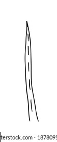 Handgezeichnete Vektorgrafik mit Kräutern im Doodle-Stil, Zeichnung einzeln auf weißem Hintergrund (Pflanzen, Gras, Unkraut). Vektor EPS10
