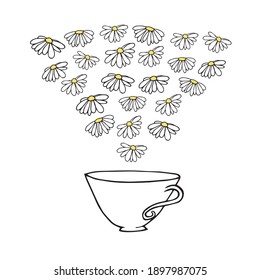 Hand drawn vector illustration herbal chamomile cup of tea doodles sketch elements. Isolated on white background.