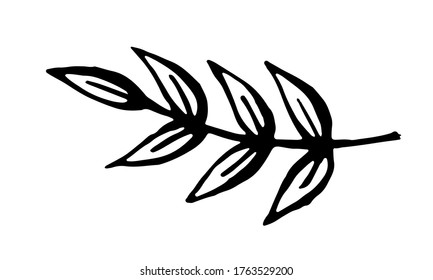 Hand drawn vector illustration of herbs. Doodle floral element. Spring and summer symbol. Contour otline drawing of simple black twigs and flowers