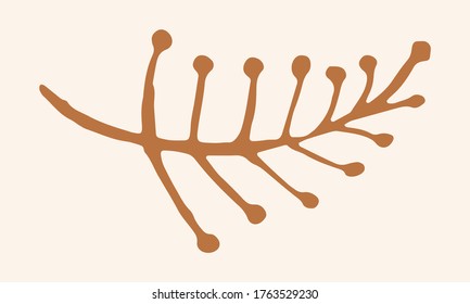 Ilustración vectorial dibujada a mano de hierbas. Doodle floral. Símbolo de primavera y verano. Dibujo en línea de contorno de ramas y flores simples de color