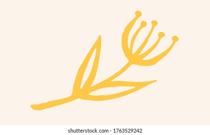 Hand drawn vector illustration of herbs. Doodle floral element. Spring and summer symbol. Contour otline drawing of simple colorful twigs and flowers