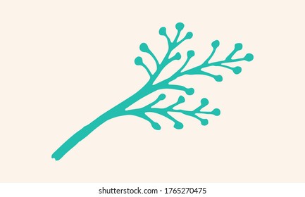 Hand drawn vector illustration of herbs. Doodle floral element. Spring and summer symbol. Contour otline drawing of simple colorful twigs and flowers