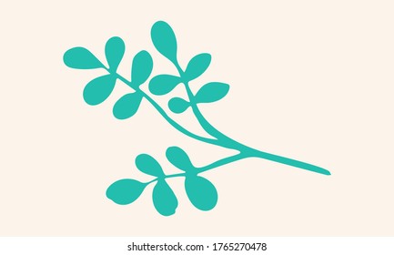 Ilustración vectorial dibujada a mano de hierbas. Doodle floral. Símbolo de primavera y verano. Dibujo en línea de contorno de ramas y flores simples de color