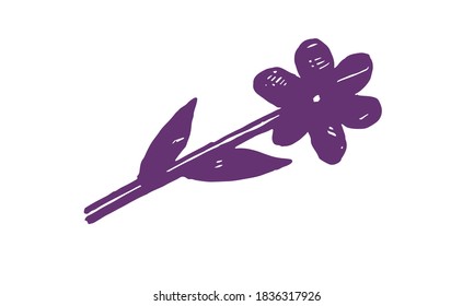 Hand drawn vector illustration of herbs. Doodle floral element. Spring and summer symbol. Contour otline drawing of simple black twigs and flowers