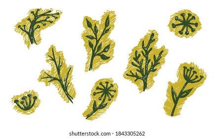 Hand drawn vector illustration of herbs. Doodle floral element. Spring and summer symbol. Contour otline drawing of simple black twigs and flowers