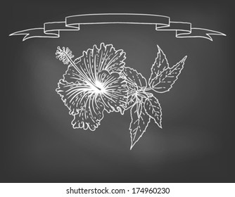 Hand drawn vector illustration of hibiscus on blackboard. Concept image of tropical restaurant menu, cafe, coffee shop, tea house, aroma, perfume box design, herbal tea, caffeine free product