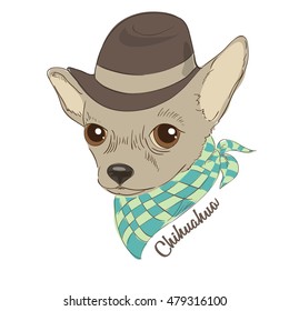 Hand drawn vector illustration of hipster dog for cards, t-shirt print, placard. Fashion portrait of chihuahua dog wearing hat and  cravat.