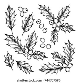 Hand drawn vector illustration - Holly jolly. Christmas floral design elements. Holiday drawing. Perfect for invitations, greeting cards, prints, flyers, posters etc