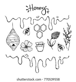 Hand drawn vector illustration - Honey. Design elements in sketch style (flowers, leaves, beehive, honeycomb, bee). Perfect for cards, posters, prints, advertising, leaflets, menu
