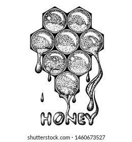 Hand drawn vector illustration honeycomb with flowing honey. Illustration isolated on white background. Template for label, icon or sticker for honey products.