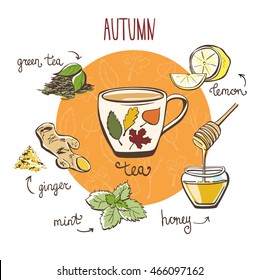 Hand drawn vector illustration with hot autumn tea. Doodle cup and ingredients: lemon, ginger, mint, brew and honey. Recipe card with isolated objects and decorative leaves on white background.