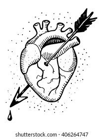 Hand drawn vector illustration of a human heart with an arrow