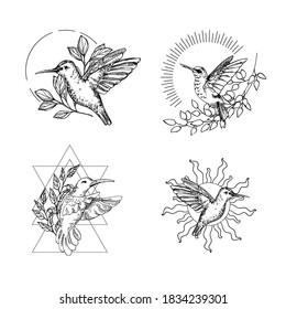 Hand drawn vector illustration of humming bird logo. Natural and magical outline clipart for print, card, textil design. Alchemy, magic, esoteric, occult, spiritual set.