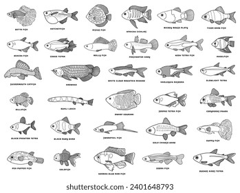 Hand drawn Vector illustration icon set of different fishes with the names icon Isolated on White Background
