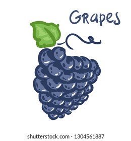 Hand drawn vector illustration of isolated colorful grape branch silhouette on a white background. icon, logo, sketch , clip art