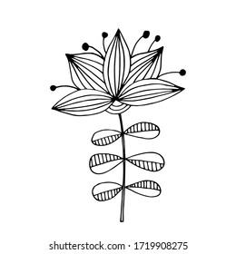 Hand drawn vector illustration isolated on white background. Graphic flowers and herbal elements in doodle style for cards, posters, stickers and professional design. EPS 8.