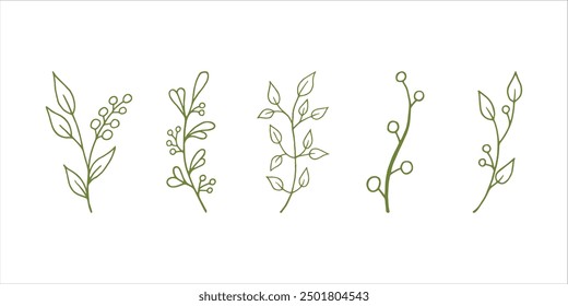 Hand drawn vector illustration isolated on white background. Wedding decorative elements with leaves. Branches, divider ornament, borders, lines