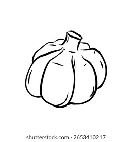 Ilustração vetorial desenhada à mão de alho isolado da arte da linha no fundo branco, ícones vegetais do esboço para o seu projeto, menu, maquete, livro de coloração educacional para crianças, ingrediente alimentar