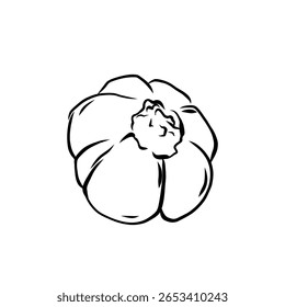 Ilustração vetorial desenhada à mão de alho isolado da arte da linha no fundo branco, ícones vegetais do esboço para o seu projeto, menu, maquete, livro de coloração educacional para crianças, ingrediente alimentar