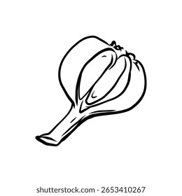 Ilustração vetorial desenhada à mão de alho isolado da arte da linha no fundo branco, ícones vegetais do esboço para o seu projeto, menu, maquete, livro de coloração educacional para crianças, ingrediente alimentar