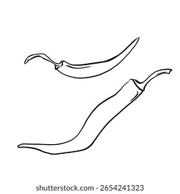 Hand drawn vector illustration of isolated line art hot spicy pepper white background, outline vegetable icons for your design, menu, mockup, educational coloring book for children, food ingredient