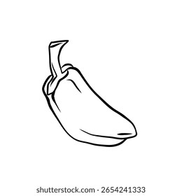 ilustração de vetor desenhado à mão de linha isolada arte doce sino pimentão branco fundo, delinear ícones vegetais para design de produtos orgânicos, embalagem ecológica, livro de coloração e ingrediente alimentar