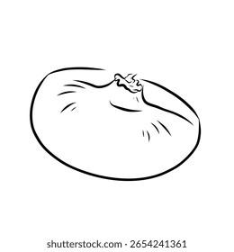 Hand drawn vector illustration of isolated line art onion bulb white background, outline vegetable icons for organic product design, eco-friendly packaging, education coloring book and food ingredient