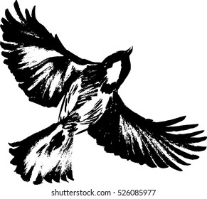 hand drawn vector illustration isolated on white background. Titmouse bird painted by black ink. Symbol, logo, decorative element