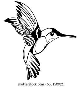 Hand Drawn vector illustration isolated on white background. Sketch for tattoo.Hummingbird drawing.
