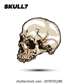 Handgezeichnete Vektorgrafik des kieferlosen Schädels einzeln auf weißem Hintergrund.