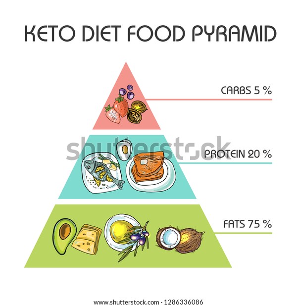 手描きのketodiet栄養と運動のベクターイラスト タンパク質 ケトニック食品ピラミッド のベクター画像素材 ロイヤリティフリー