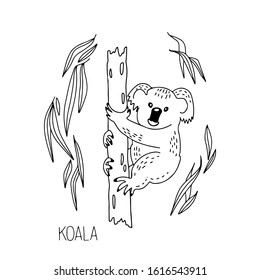 Hand drawn vector  illustration Koala, tree, leaves, lettering isolated on white background. Wild life and fauna. Best for children's books, cards, posters, sites, stickers, magazines, print, banner.