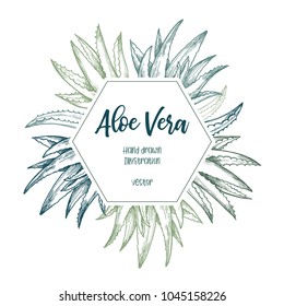 Hand drawn vector illustration. Label with aloe vera. Herbal plant. Clipart in sketch style. Perfect for cosmetics labels, invitations, cards, leaflets etc