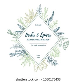 Hand drawn vector illustration. Label with herbs and spices (sage, tarragon, ginger). Herbal pre-made composition. Perfect for menu, cards, prints, packing, leaflets