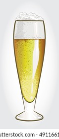 Hand drawn vector illustration of Lager Beer in a Beer Glass on white background.
