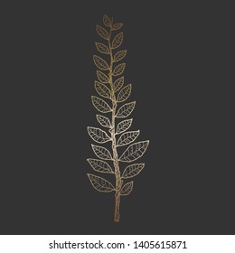 Hand drawn vector illustration of laurel branch