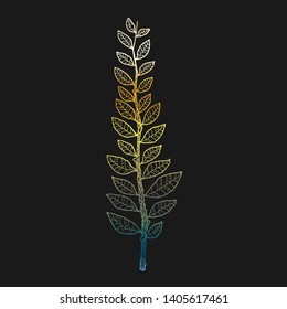 Hand drawn vector illustration of laurel branch
