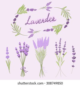 Hand drawn vector illustration of lavender