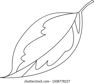 Hand drawn vector illustration of a leaf